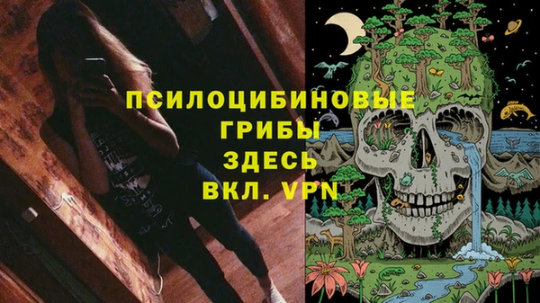 дживик Арсеньев