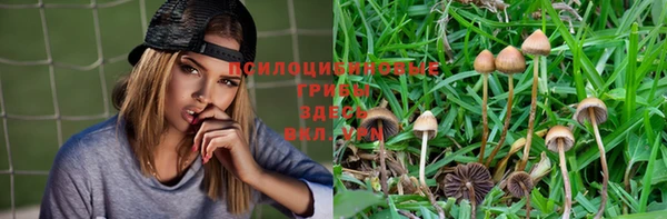 дживик Арсеньев